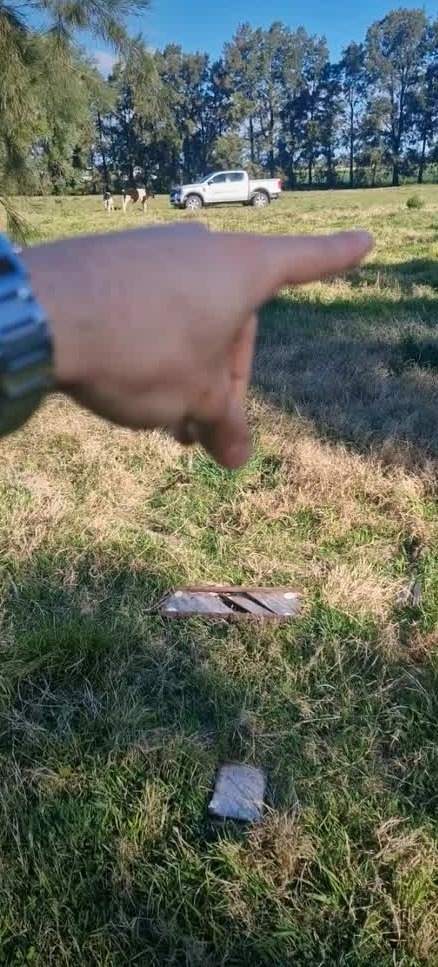 Eine Hand zeigt auf eine Wiese vor hohen Nadelbäumen, im Hintergrund ein Feld.